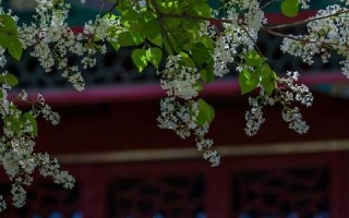 芭蕉不展丁香结丁香空结雨中愁的意思