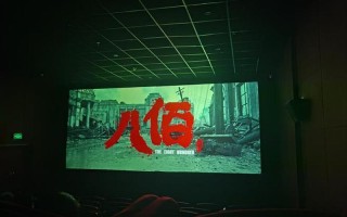 八百电影讲的什么意思