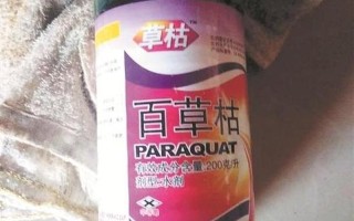 百草枯是什么东西