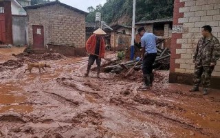 30人大巴坠入农家院