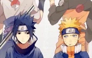 artofzoo. yasmin与马