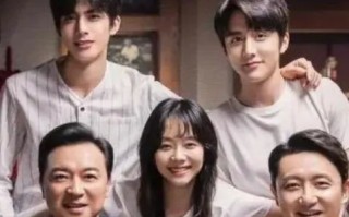 电视剧以家人之名多少集 电视剧以家人之名简介