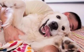 把女朋友培养成狗