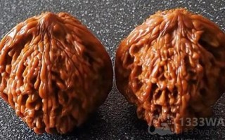 包浆是什么意思网络用语