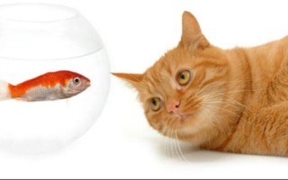 爱恨就在一瞬间是什么歌