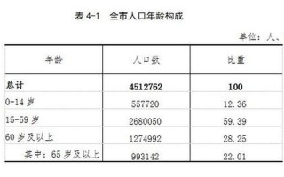 2010年人口普查时间