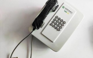 95599中国农业银行