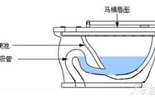 虹吸式马桶结构图