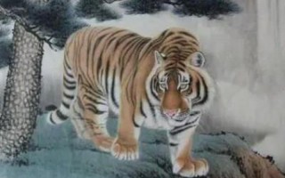 86年属虎36岁有一灾