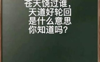 天道好轮回苍天饶过谁是什么意思
