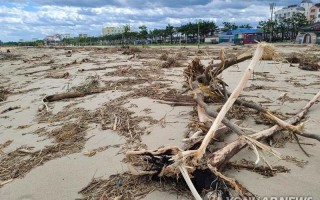 台风后江堤变垃圾场