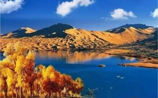 阿拉善是什么意思