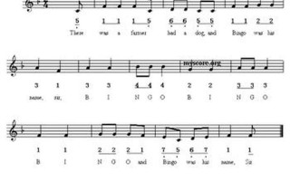 bingo是什么意思中文