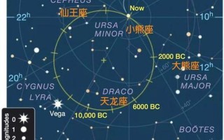 北极星位于哪个星座