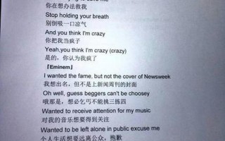 wap歌词中文是什么意思