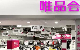 跟唯品会名牌折扣网很像的那个网站叫什么(唯品会折扣网如何获得积分)