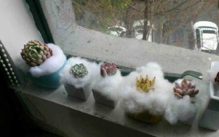 过年摆地摊赚10万一万元投资能做什么生意(过年摆地摊,什么地摊最挣钱)