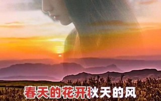 春天的花开秋天的风以及冬天的落阳