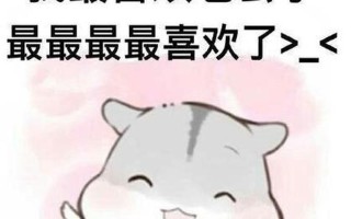 把老公撩硬的表情包图片