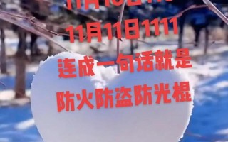 11月9号是什么日子