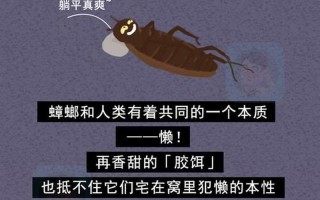 北方蟑螂pk南方蟑螂图