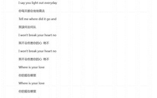 wap歌词翻译成中文