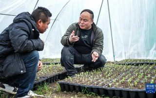 2157代表什么意思