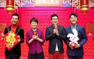 2014辽视春晚直播