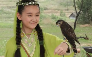 云中歌演员表将一一(云中歌演员表阿福是谁)