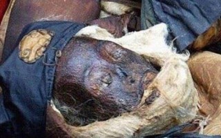 95年成都僵尸事件