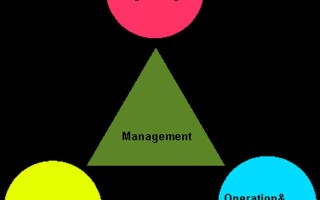 administration是什么意思