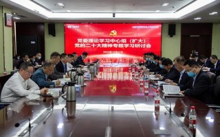 20大什么时候举行