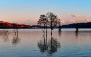 北京科兴疫苗和北京科兴中维疫苗是同一种吗-北京科兴疫苗怎么显示