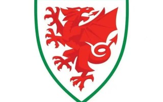 威尔士足球队世界排名(威尔士男足世界排名)