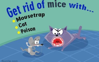 prevent是什么意思