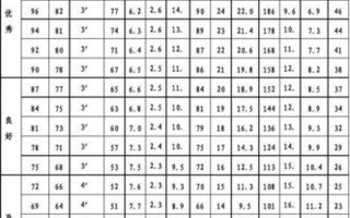 大学生体测标准评分表