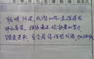 95后语文老师给学生写文言文评语