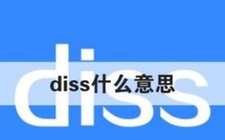 diss是什么意思中文