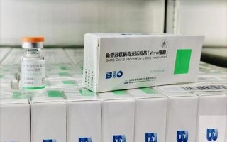 vero细胞是不是科兴