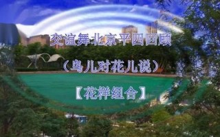 北京平四高级花样