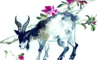 暗香浮动打一个生肖