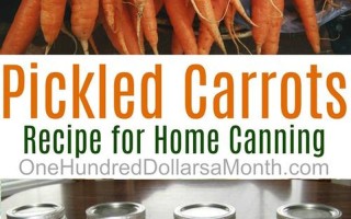 carrots是什么意思