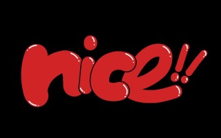 nice是什么中文意思