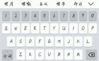 SXN用输入法打出来什么意思