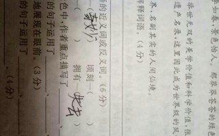 美妙的反义词是什么呢