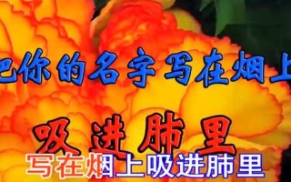 把你的名字写在烟上吸进肺里