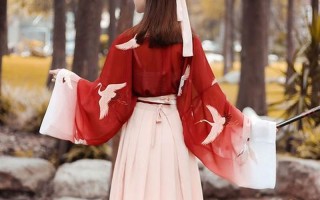 北朝鲜高级売春女