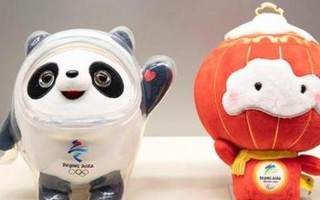 北京冬奥会吉祥物冰墩墩的原型