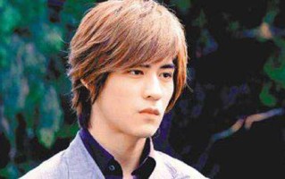 和猪有关的台湾偶像电视剧(早期有哪些好看的台湾偶像电视剧)