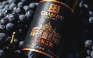 红酒张裕喜鹊和张裕鸿运哪个好？张裕的什么红酒比较好啊？